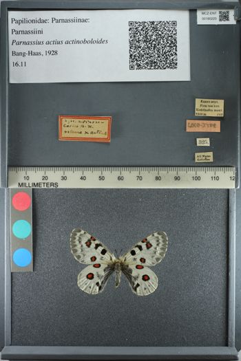 Media type: image;   Entomology 180220
